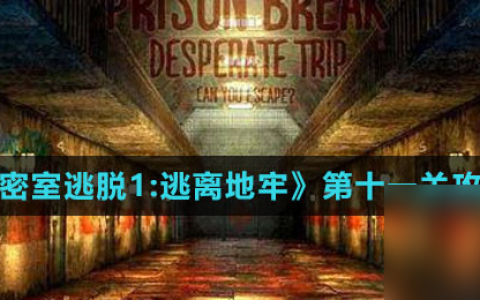 《密室逃脱1 逃离地牢》第十一关攻略