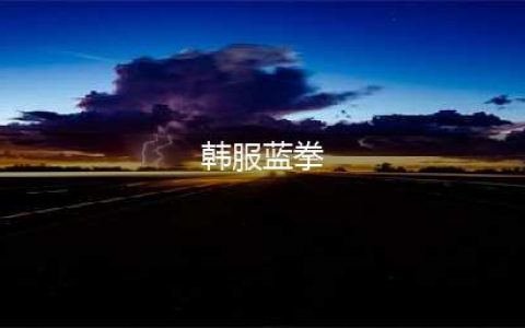 《DNF》110级机械战神蓝拳圣使毕业装备推荐(韩服蓝拳)