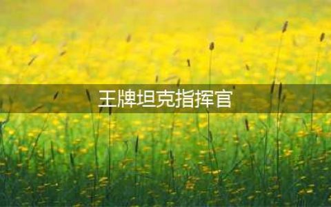 《坦克指挥官》王牌坦克出击 评测：策略对战(王牌坦克指挥官)