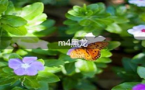 《CF手游》M4A1黑龙怎么样 枪支介绍(m4黑龙)