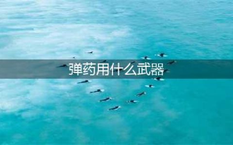 《dnf》弹药专家用什么武器 弹药专家毕业装备搭配攻略