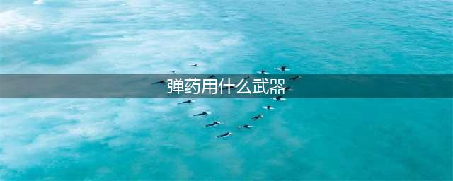 《dnf》弹药专家用什么武器 弹药专家毕业装备搭配攻略