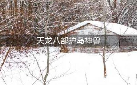 天龙八部荣耀版护宝神兽怎么过 护宝神兽通关攻略(天龙八部护岛神兽)