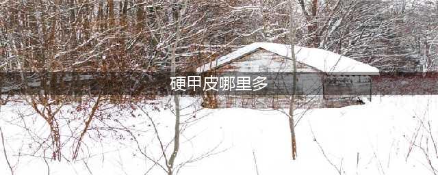 《魔兽世界怀旧服》在哪刷硬甲皮 硬甲皮掉落位置一览(硬甲皮哪里多)