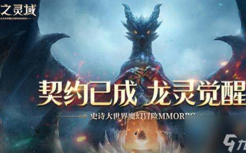 龙之灵域新手攻略