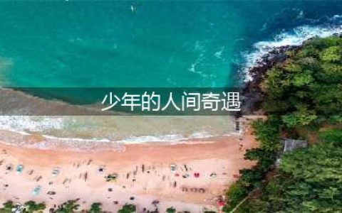 少年的人间奇遇攻略大全 全结局通关流程图文攻略(少年的人间奇遇)