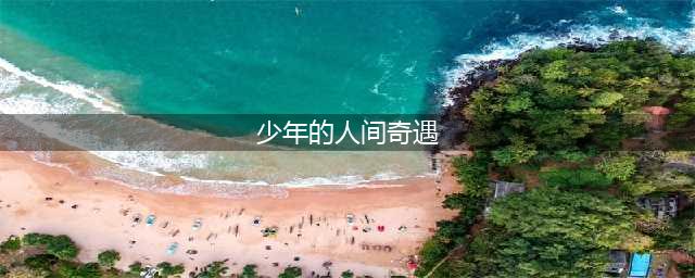 少年的人间奇遇攻略大全 全结局通关流程图文攻略(少年的人间奇遇)