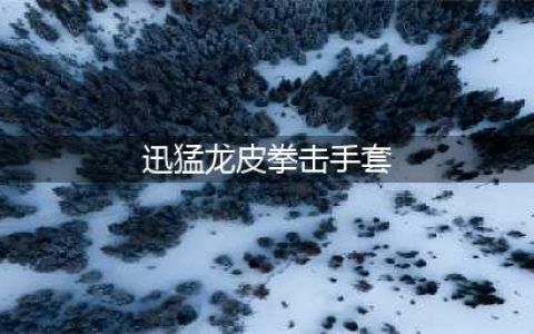 《魔兽世界》怀旧服迅猛龙皮背心获取方法 迅猛龙皮背心怎么得(迅猛龙皮拳击手套)