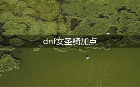DNF女圣骑士110级刷图加点攻略(dnf女圣骑加点)