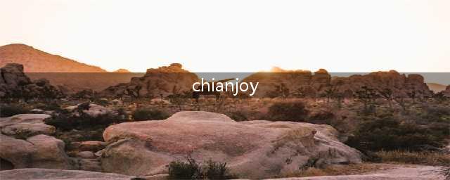 别动手啊!《太极熊猫2》CJ现场SG疯狂撩汉(chianjoy)