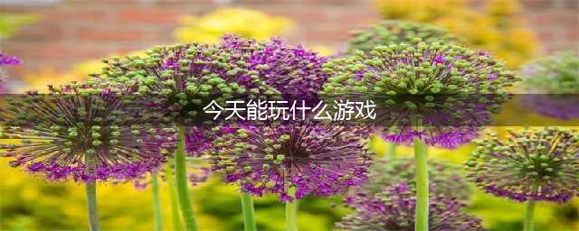 适合很多人玩的游戏大全2022 适合多人玩的精品手游推荐(今天能玩什么游戏)