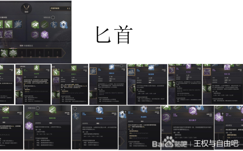 王权与自由匕首技能介绍