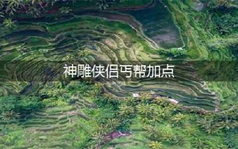 《神雕侠侣2手游》丐帮天赋怎么加点 丐帮天赋加点攻略(神雕侠侣丐帮加点)