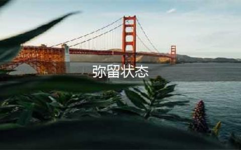 《了不起的修仙模拟器》弥留状态怎么治疗 弥留状态救治方法分享(弥留状态)