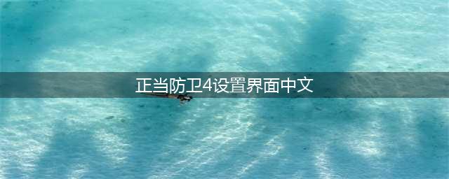 《正当防卫4》中文怎么设置 中午设置教程攻略(正当防卫4设置界面中文)
