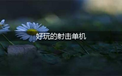 好玩的射击单机游戏2022 好玩的射击单机游戏推荐(好玩的射击单机)