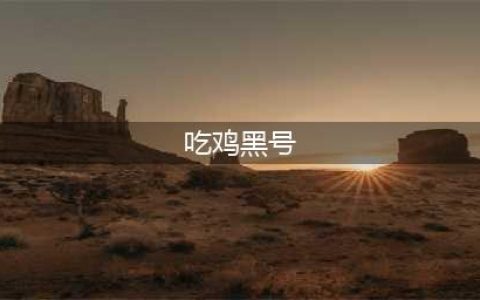 《绝地求生》黑号是什么意思 黑号游戏用语介绍(吃鸡黑号)