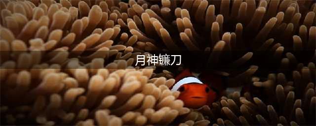 《魔兽世界》月神的镰刀任务怎么做 月神的镰刀任务完成攻略(月神镰刀)