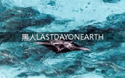lastdayonearth黑人怎么打 lastdayonearth黑人打法技巧攻略