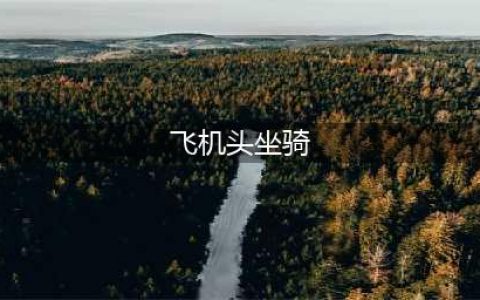 《魔兽世界》怀旧服WLK飞机头坐骑获得方法