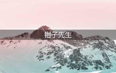 《魔兽世界》什么鱼群出钳子先生的魔法龙虾盒 获得方式一览(钳子先生)