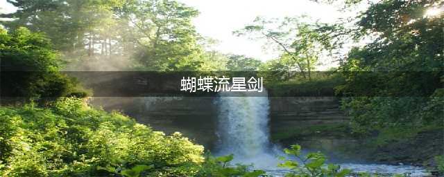 《流星蝴蝶剑》游戏黑屏怎么回事 黑屏怎么办(蝴蝶流星剑)