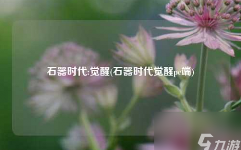 石器时代:觉醒 石器时代觉醒pc端