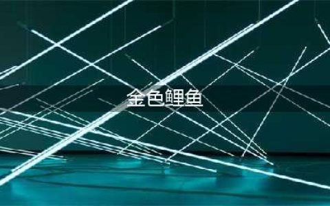 《星露谷物语》CARP金色鲤鱼在哪 金色鲤鱼位置分享(金色鲤鱼)