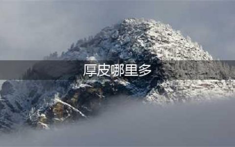 魔兽世界怀旧服厚皮哪里多 怀旧服厚皮位置介绍