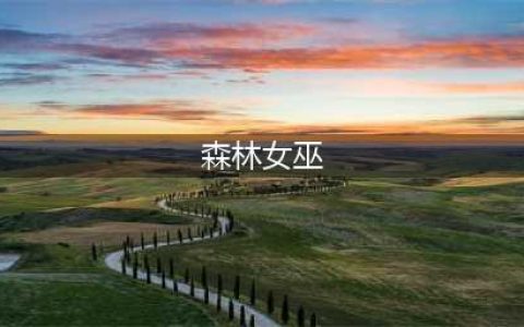 《炉石传说》女巫森林打法攻略 女巫森林怎么打(森林女巫)
