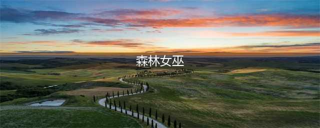 《炉石传说》女巫森林打法攻略 女巫森林怎么打(森林女巫)