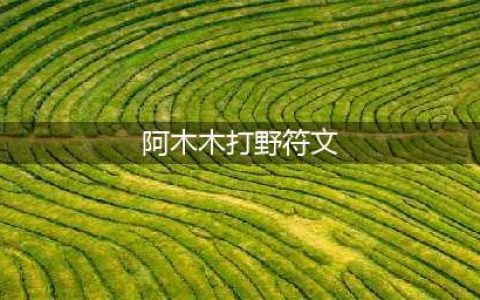 《英雄联盟》S11阿木木怎么选择符文 阿木木符文推荐(阿木木打野符文)