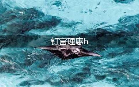 《永恒星语》钉宫理惠变声女仆为你服务(钉宫理惠h)