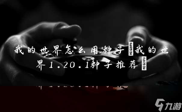 我的世界怎么用种子 我的世界1.20.1种子推荐