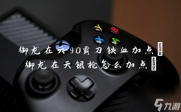 御龙在天90霸刀铁血加点 御龙在天银枪怎么加点