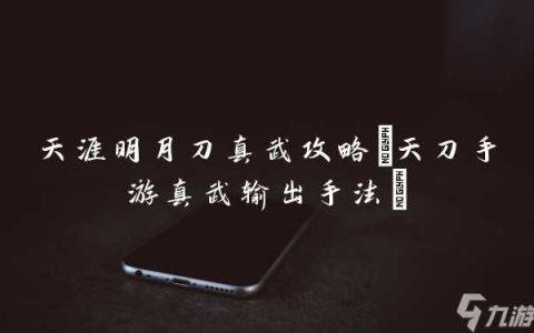 天涯明月刀真武攻略 天刀手游真武输出手法