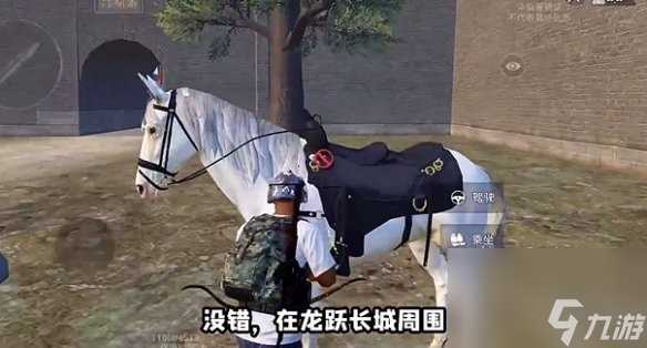 和平精英骑马在哪里详解