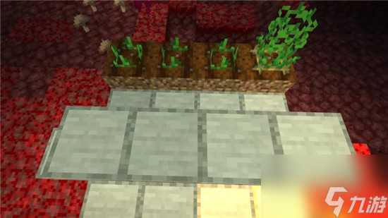 我的世界手游下界种植方法图文介绍