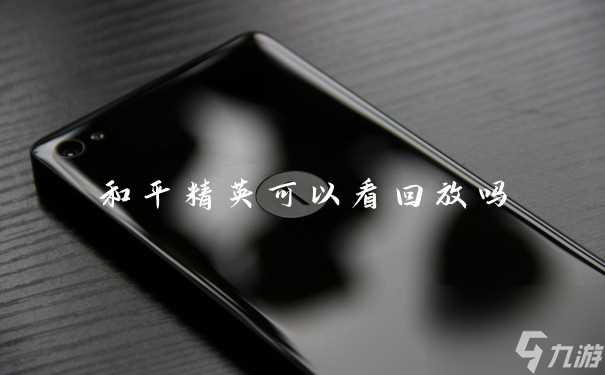 和平精英可以看回放吗