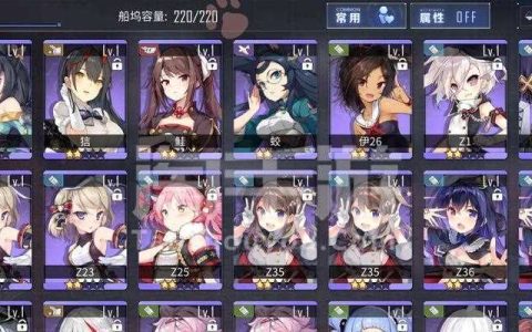 碧蓝航线华盛顿台词大全——感受战斗与荣耀的力量 华盛顿台词欣赏 领略游戏中的荣誉感与战斗热血