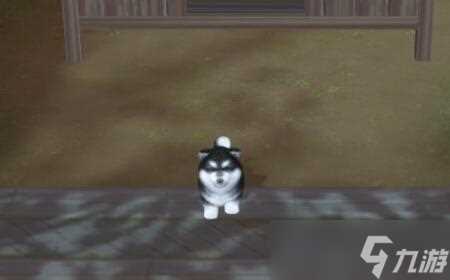 浮生忆玲珑府邸玩法介绍