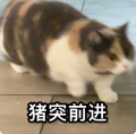 《幻灵大冒险》新手攻略之旅团篇