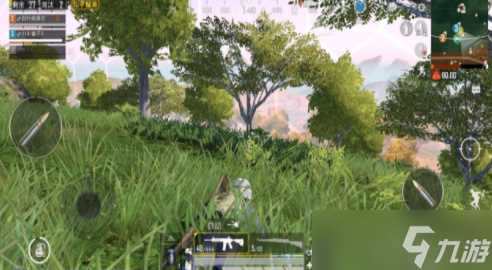 《和平精英》雨林地图怎么上分