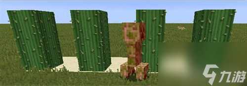 我的世界仙人掌能干什么 我的世界仙人掌属性特性介绍  待收藏