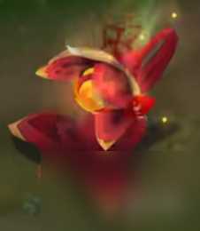 《金铲铲之战》天选福星2024五费卡介绍