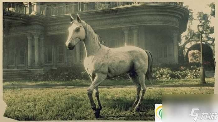 荒野大镖客2纯白阿拉伯马在哪里抓 纯白阿拉伯马驯服攻略