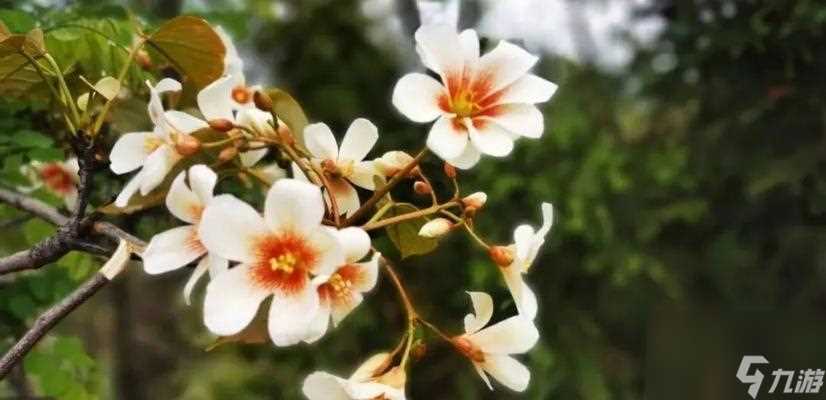 游荡追忆——以我的起源不妨游衍莫忘归称号的获取为例 玩转游戏世界