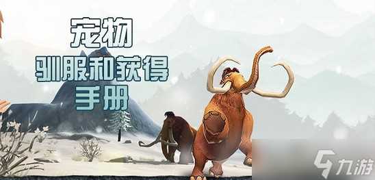 创造与魔法宠物怎么获取