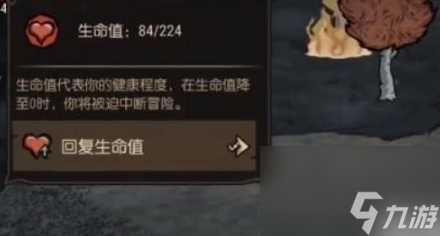 《饥荒新家园》光耀在哪里介绍