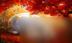 妄想山海竹子在哪里 妄想山海攻略详解